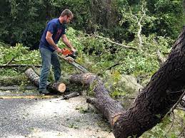 Best Seasonal Cleanup (Spring/Fall)  in Muttontown, NY